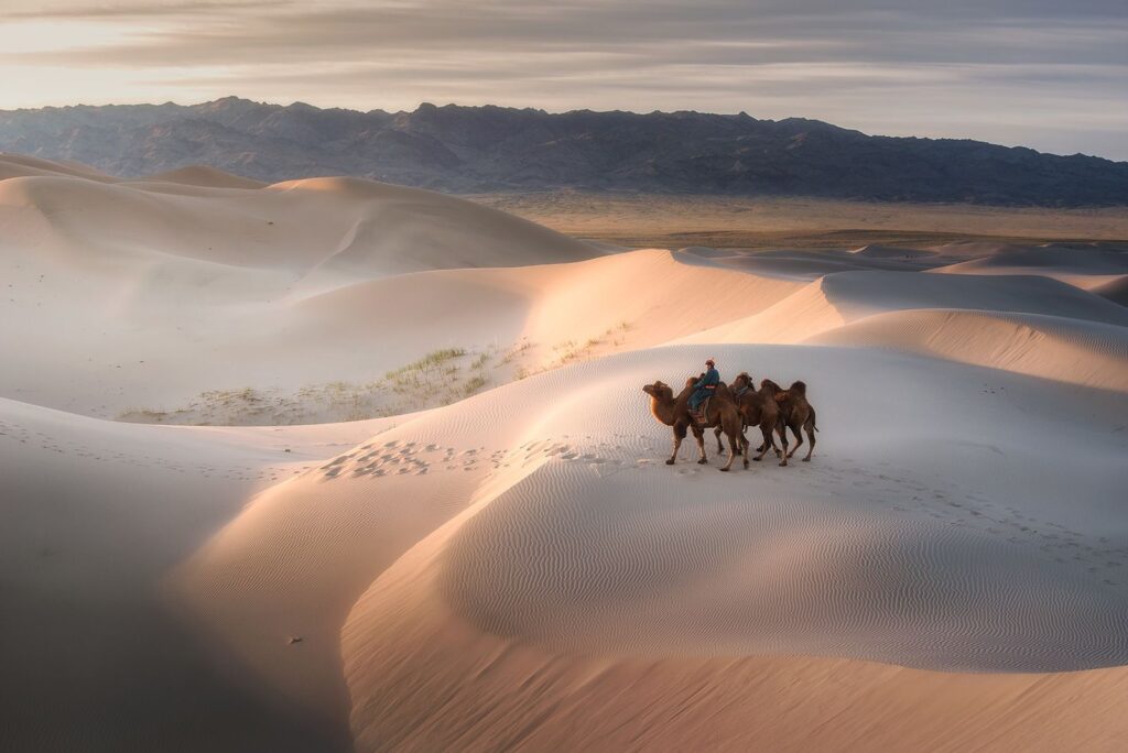 Gobi Desert Mongolia | Explore Unique Landscapes and Wildlife