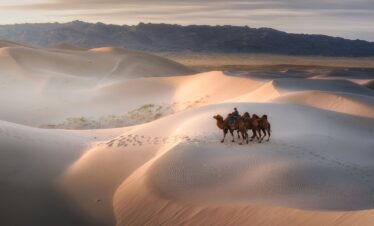 Gobi Desert Mongolia | Explore Unique Landscapes and Wildlife