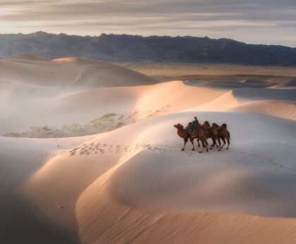 Gobi Desert Mongolia | Explore Unique Landscapes and Wildlife
