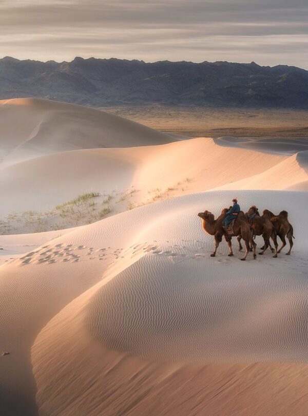 Gobi Desert Mongolia | Explore Unique Landscapes and Wildlife