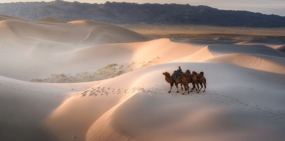 Gobi Desert Mongolia | Explore Unique Landscapes and Wildlife